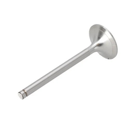 Intake Valve fits Zetor 8111 8145 9111 10145 10245 12111 12145 14145 89005915