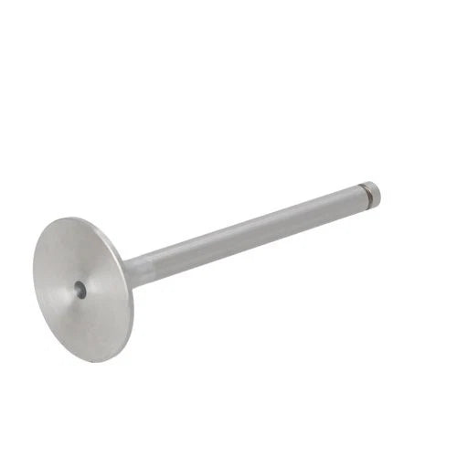 Intake Valve fits Zetor 8111 8145 9111 10145 10245 12111 12145 14145 89005915