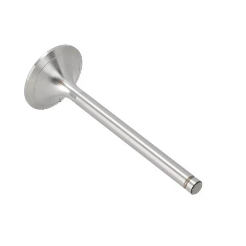 Intake Valve fits Zetor 8111 8145 9111 10145 10245 12111 12145 14145 89005915