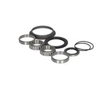 Axle Bearing Kit fits New Holland L160 L170 L565 LS160 LS170 LX565 LX665 B93174