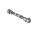 Camshaft fits Belarus Golfmaster 250AS 305 310 3011 3021 3055 D21-100-6015-A410