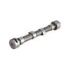 Camshaft fits Belarus Golfmaster 250AS 305 310 3011 3021 3055 D21-100-6015-A410